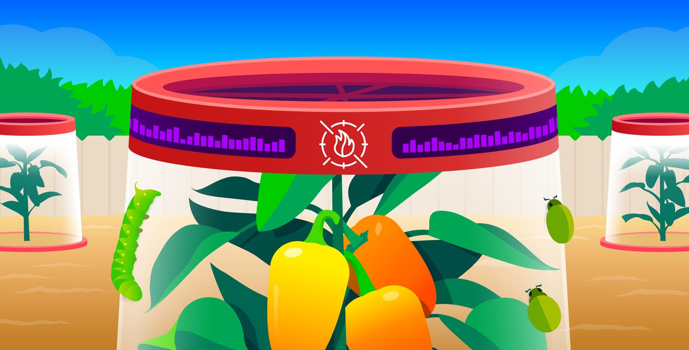 Key metrics for monitoring AWS WAF Key metrics for monitoring AWS WAF