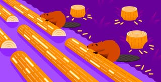 How to collect, customize, and analyze C# logs How to collect, customize, and analyze C# logs