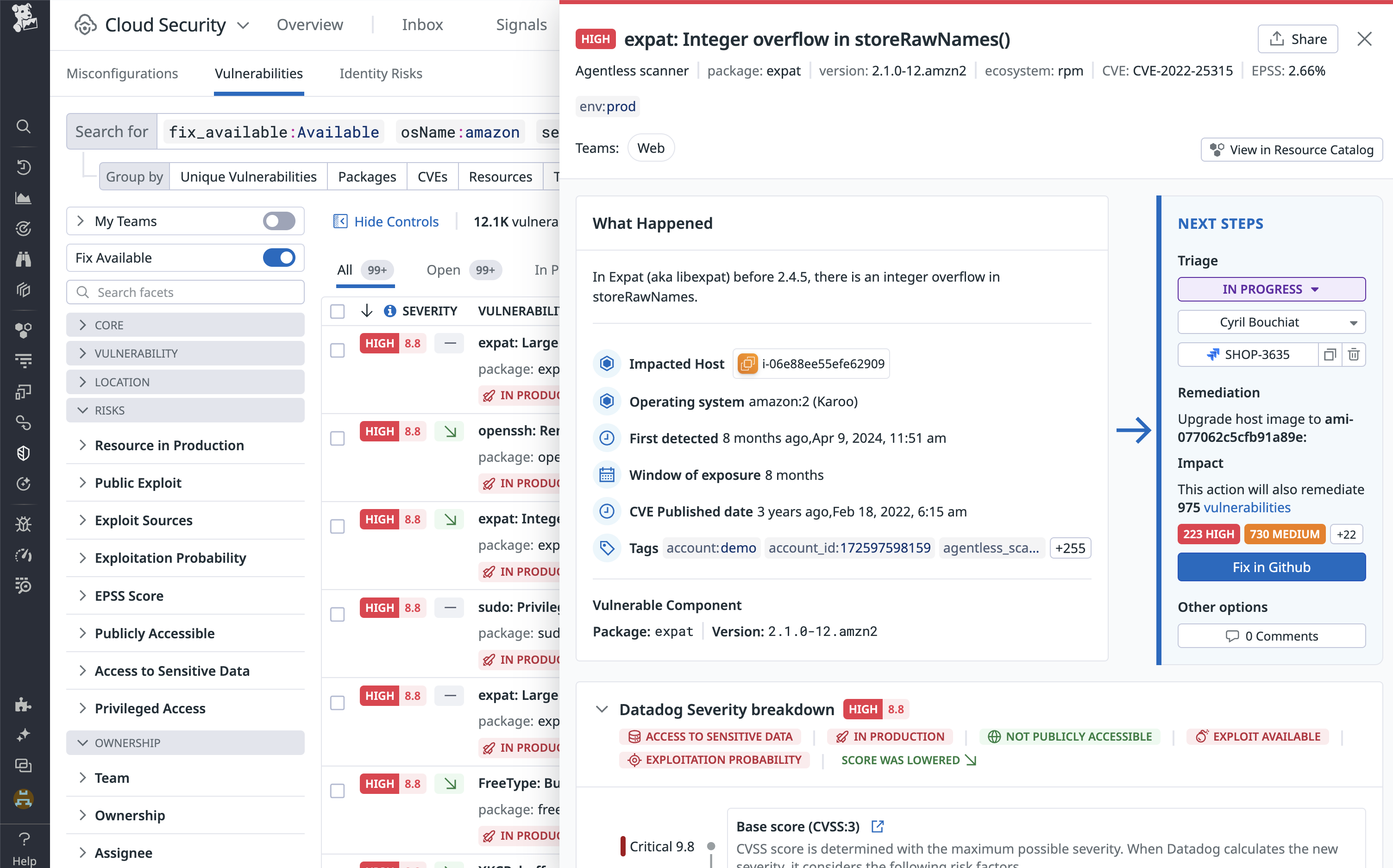 Vulnerabilities list with varying statuses
