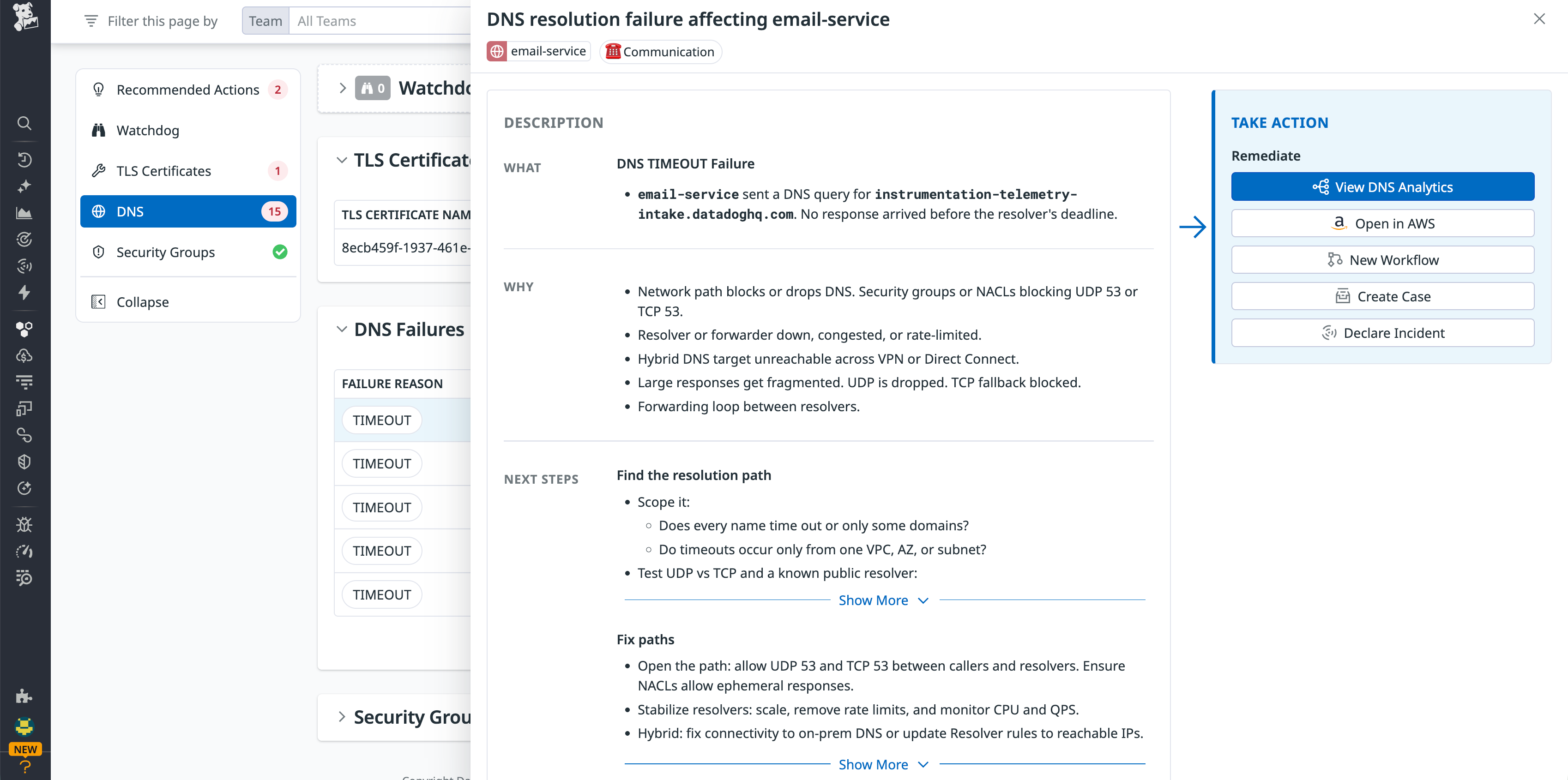 Network Health DNS timeout issue details for email-service with guided remediation actions.