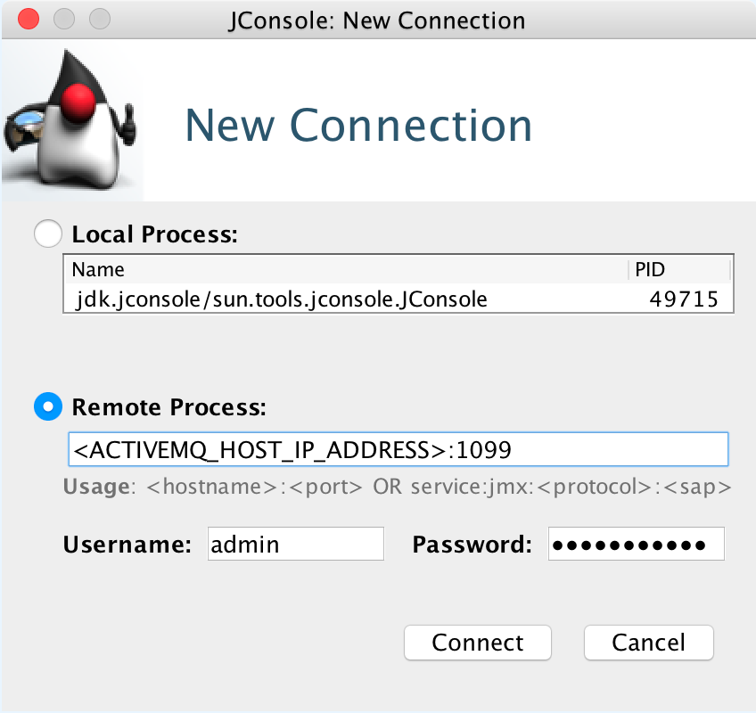 When JConsole opens, you can enter connection information for your ActiveMQ host.