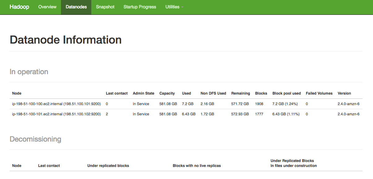 Hadoop YARN stats - DataNode information panel