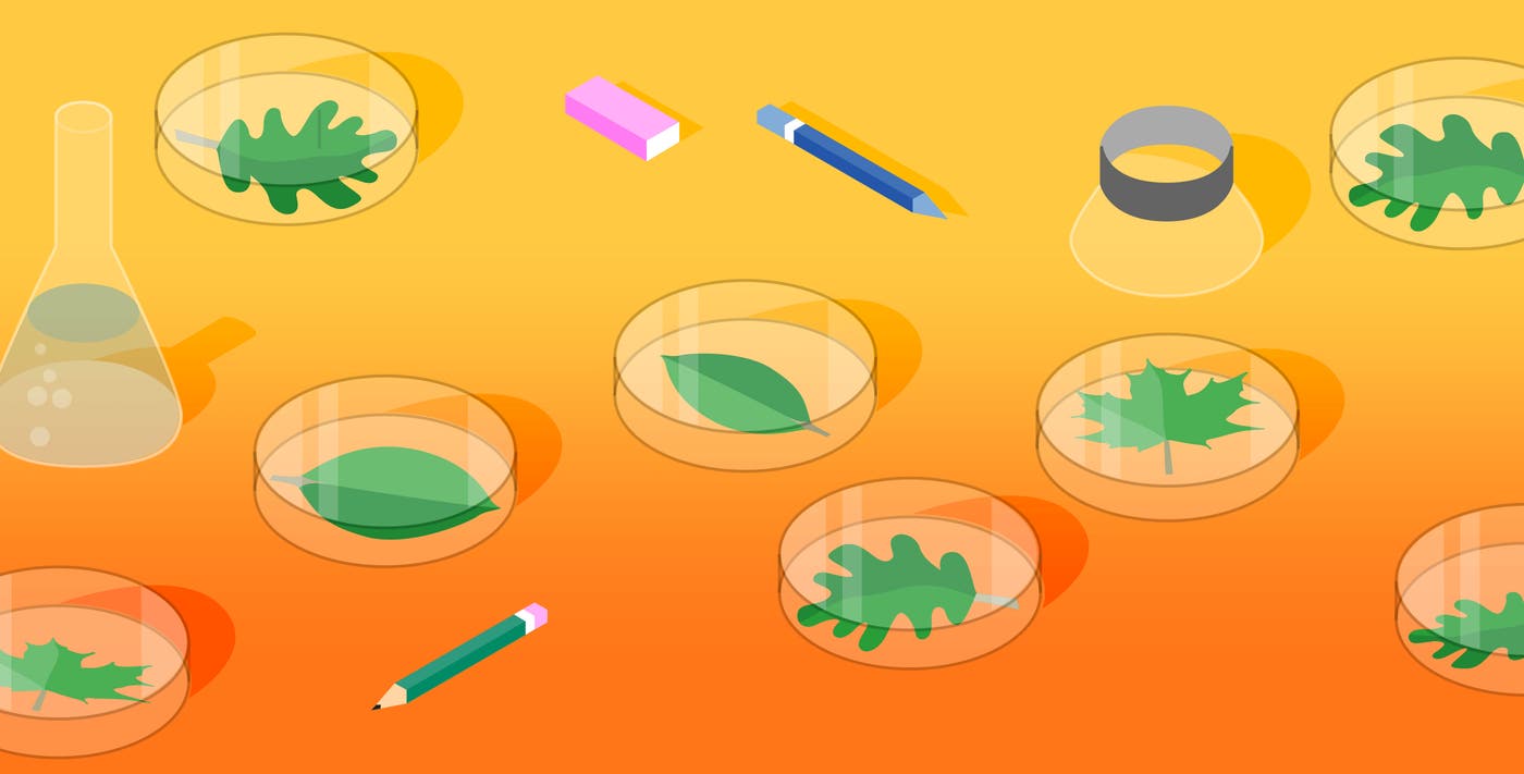 Collecting MongoDB metrics and statistics Collecting MongoDB metrics and statistics