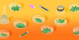 Collecting MongoDB metrics and statistics Collecting MongoDB metrics and statistics