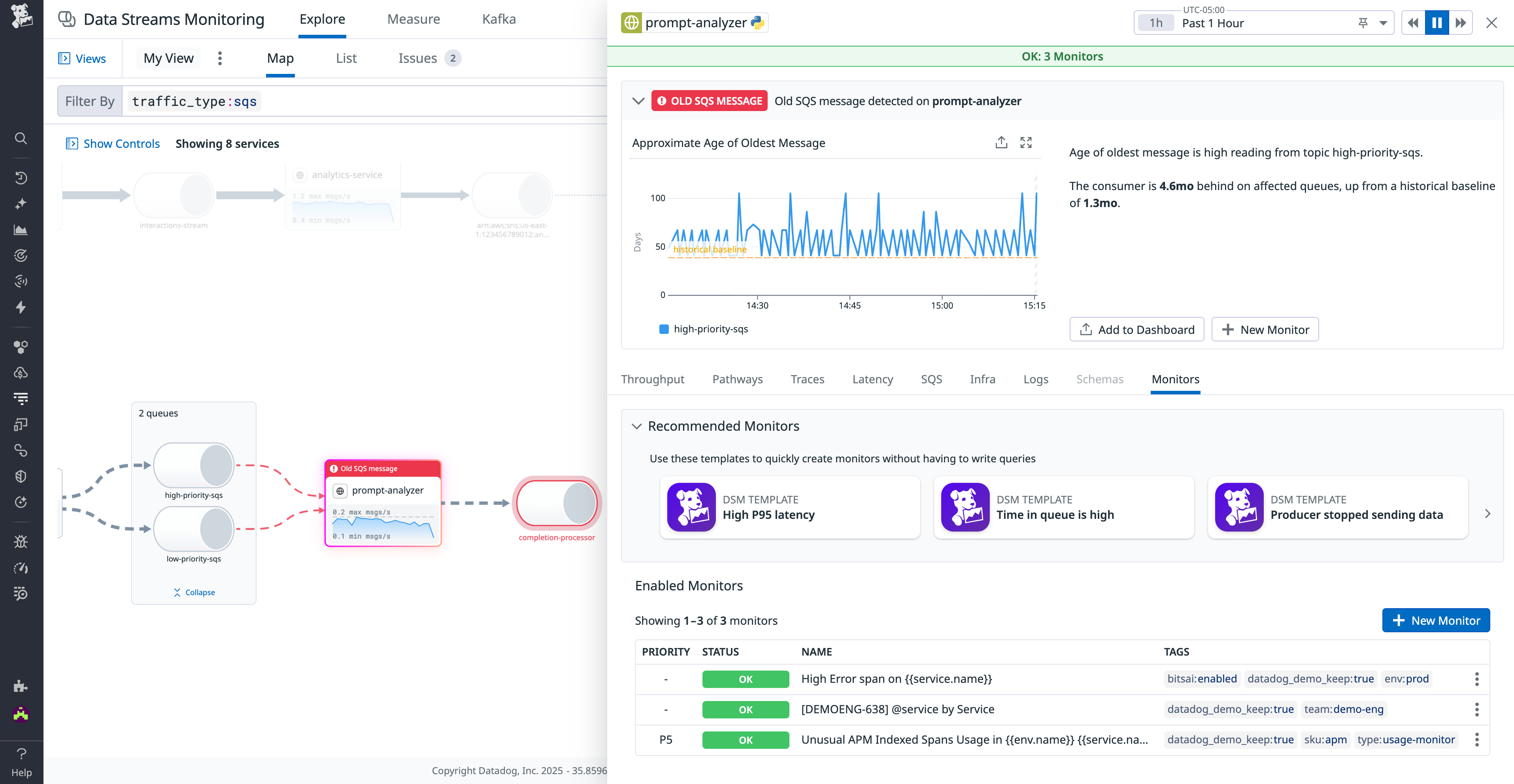 DSM provides a range of OOTB recommended monitors to help you catch common performance issues