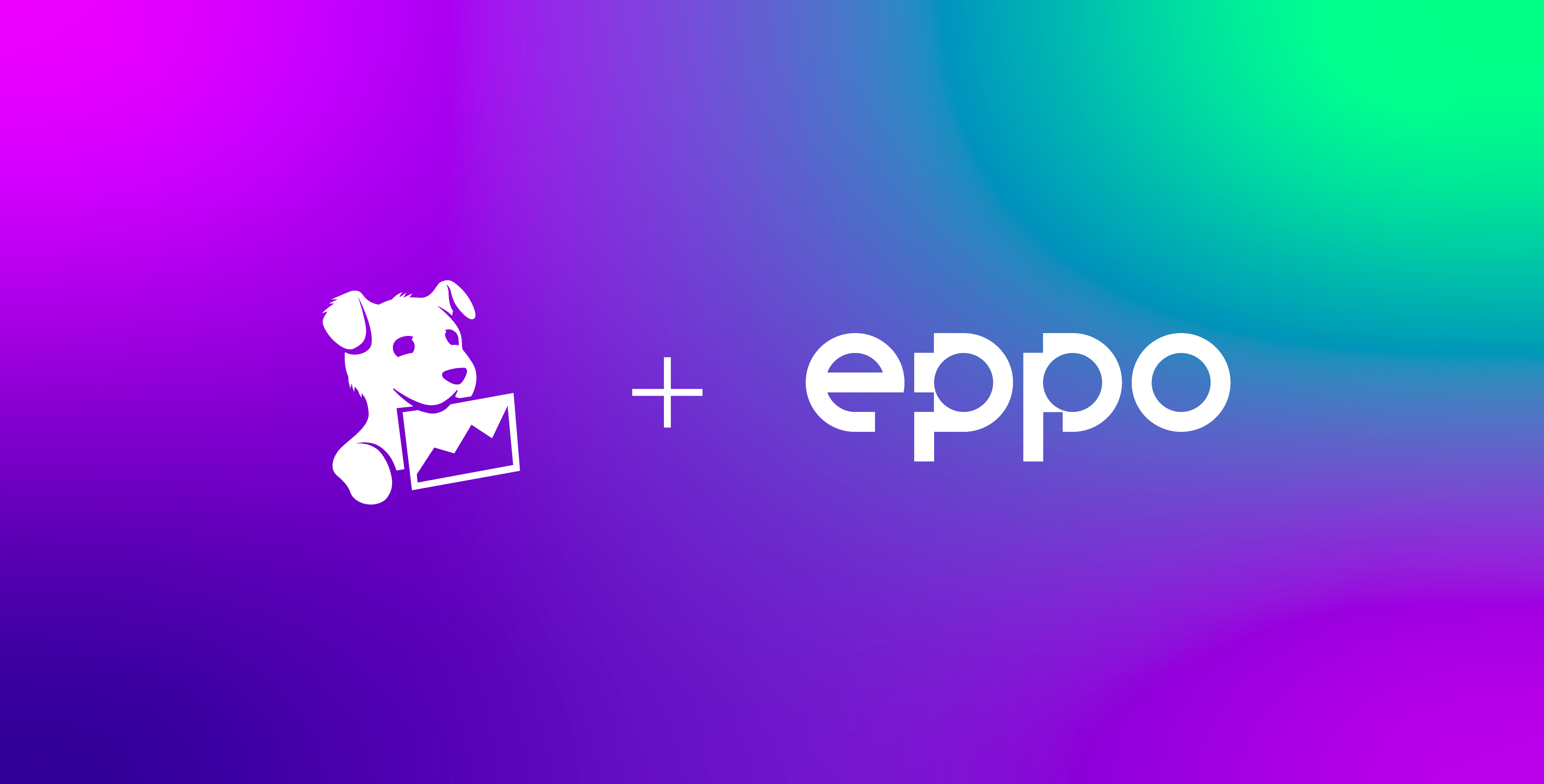 Datadog acquires Eppo