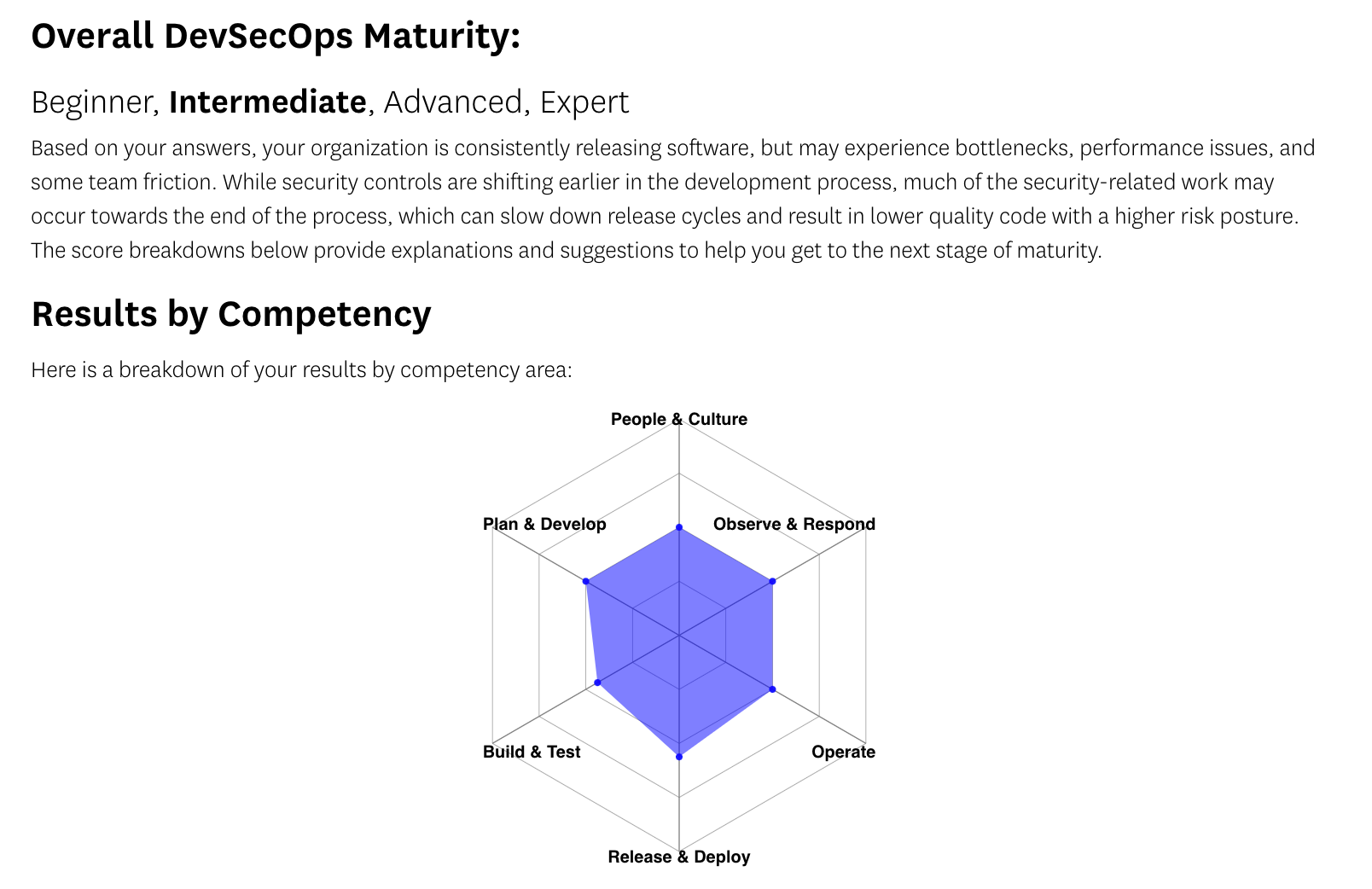 The results page for the self-assessment, which provides a breakdown of your organization's DevSecOps maturity.
