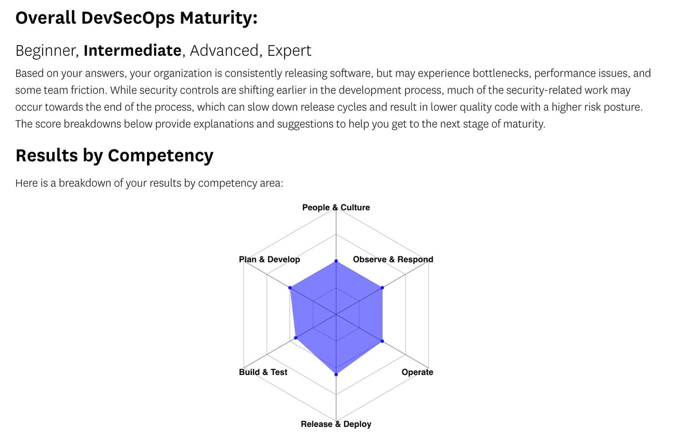 The results page for the self-assessment, which provides a breakdown of your organization's DevSecOps maturity. The results page for the self-assessment, which provides a breakdown of your organization's DevSecOps maturity.