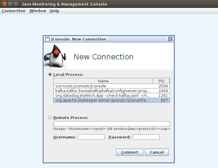 Example JConsole screen image