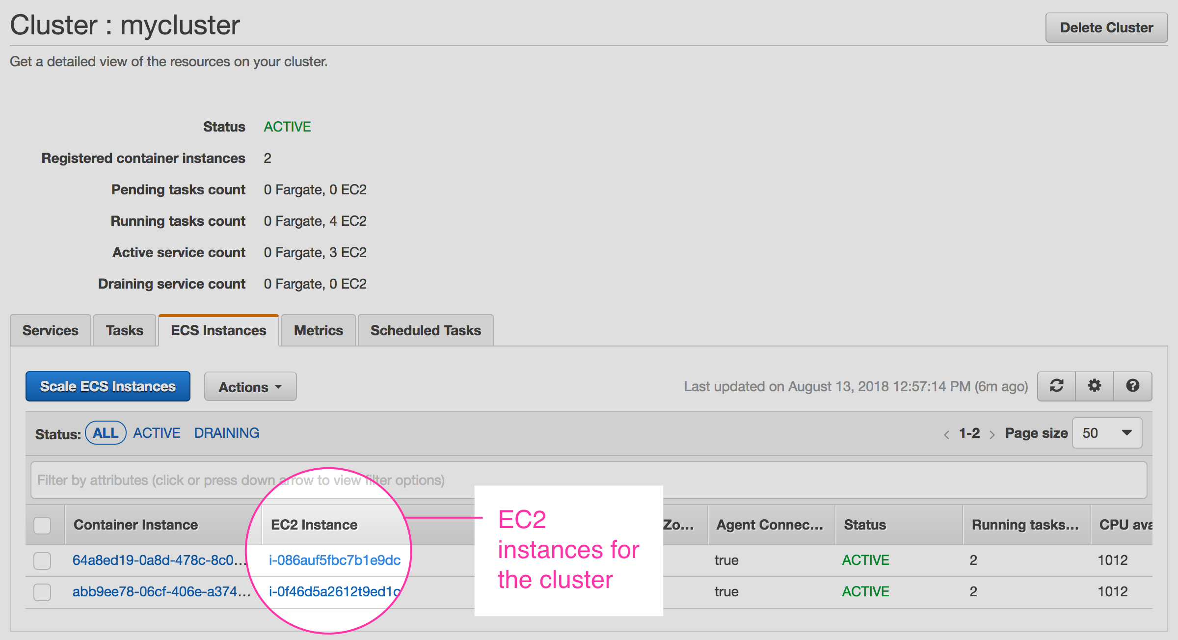 EC2 instances associated with an ECS cluster, making it possible to focus our ECS monitoring.