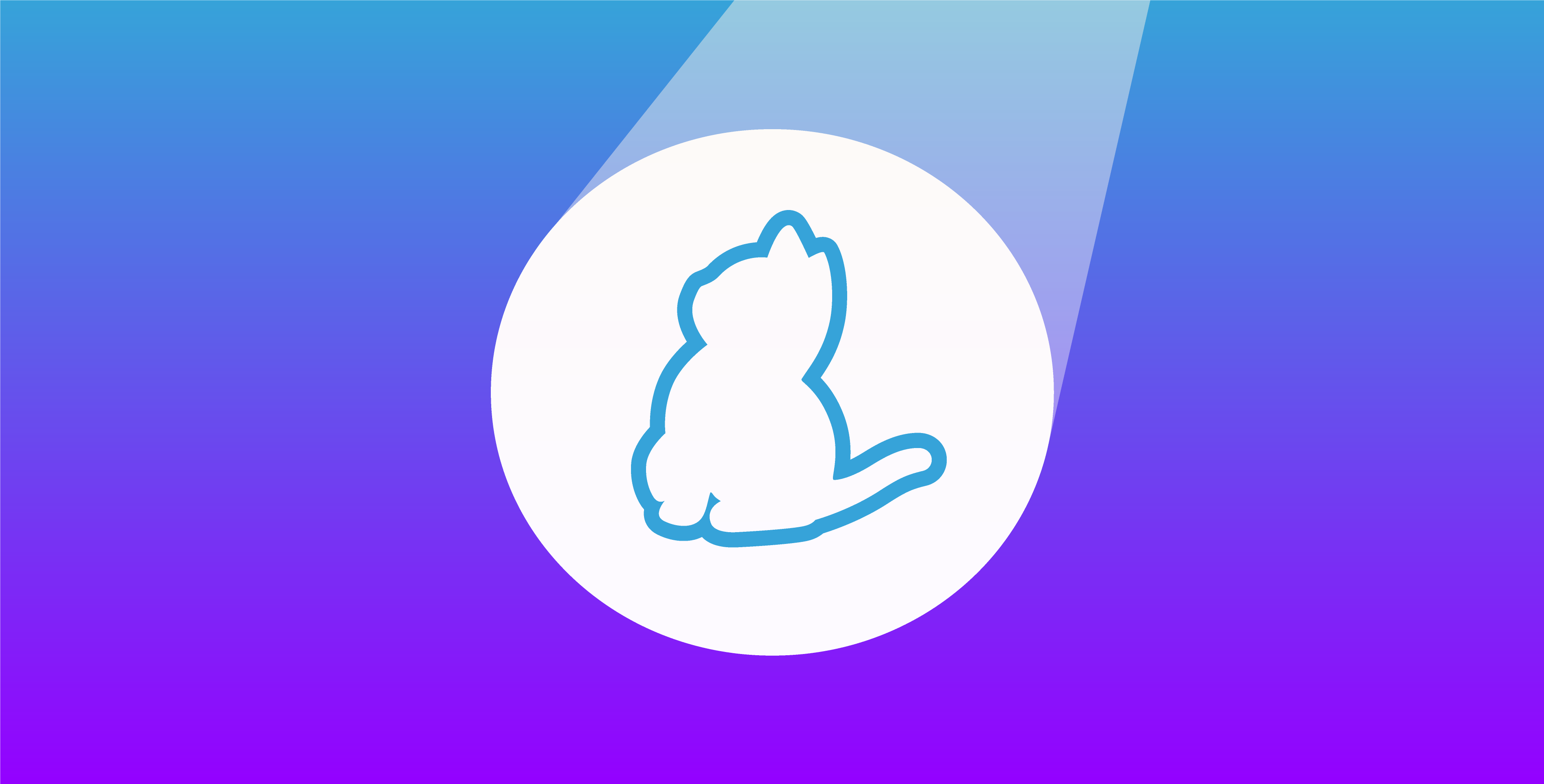 Engineering spotlight: Maël Nison