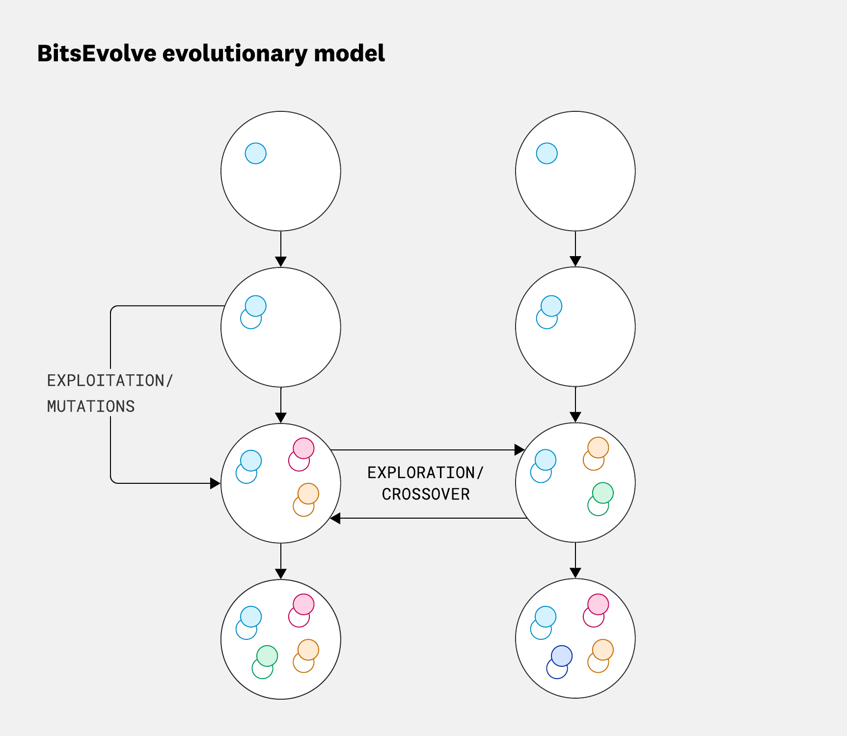 Evolution across two islands and four generations. Different colors show populations with different characteristics.