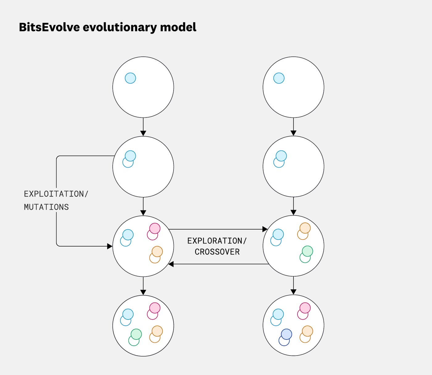 Evolution across two islands and four generations. Different colors show populations with different characteristics. Evolution across two islands and four generations. Different colors show populations with different characteristics.