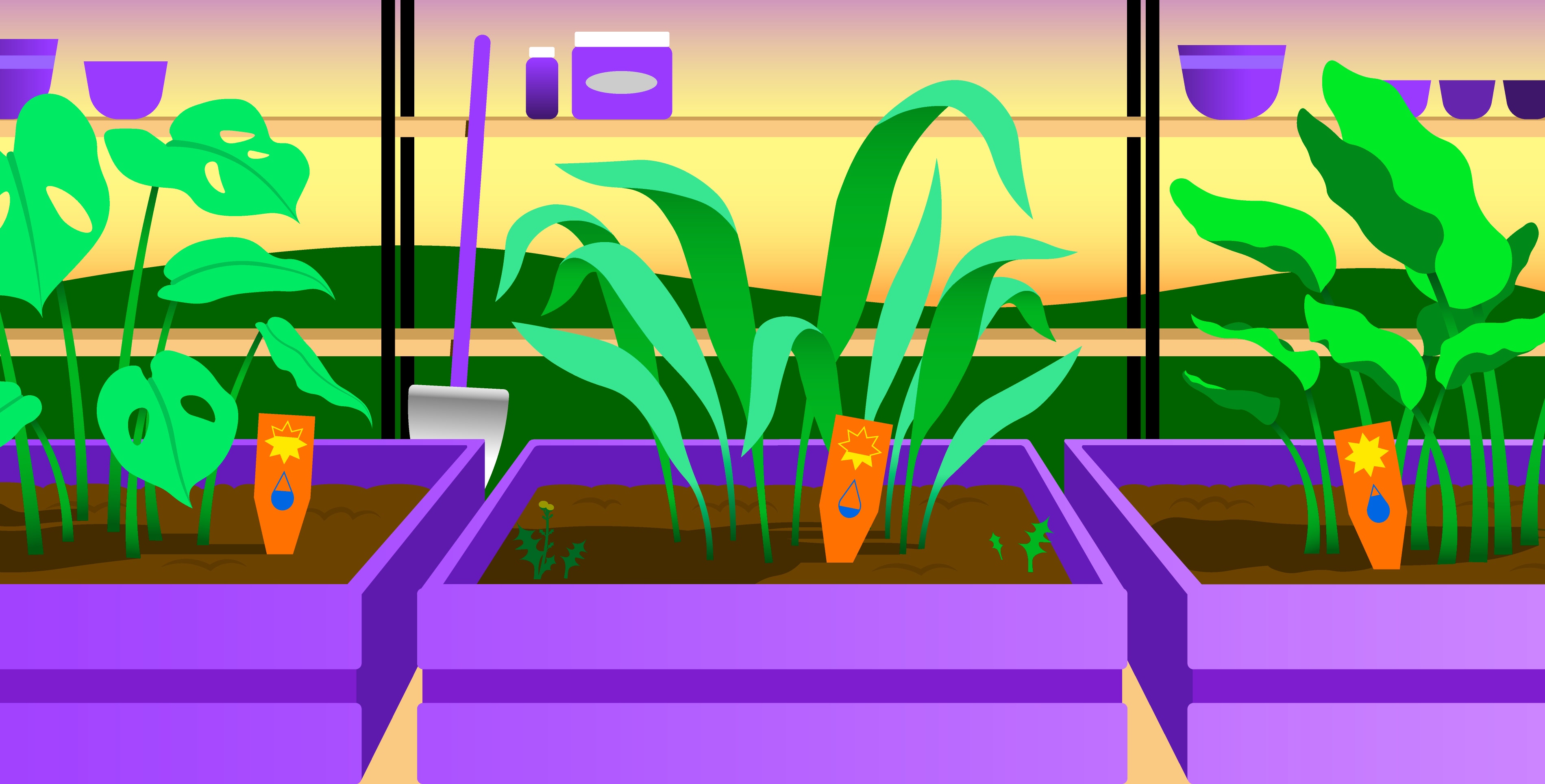 Fix common cloud security risks with the Essential Cloud Security Controls Ruleset