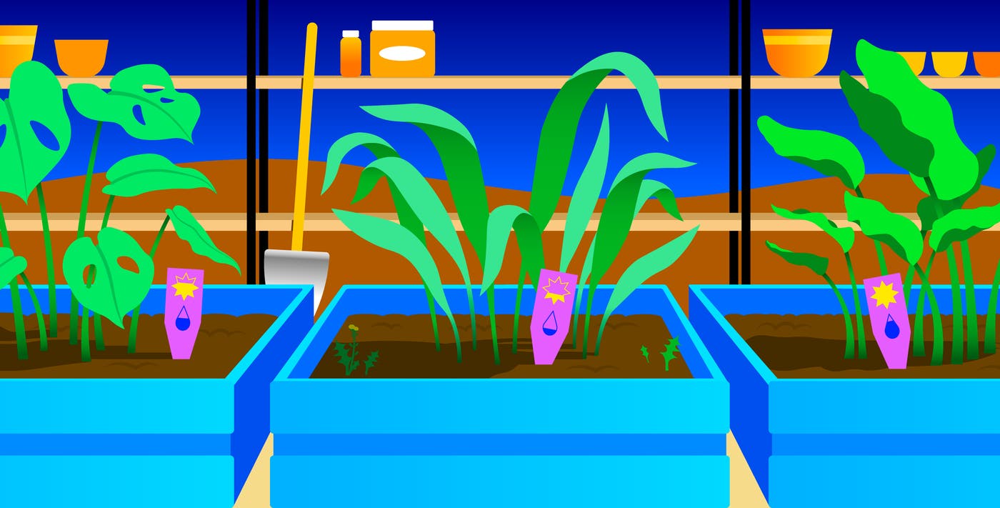 Fix key cloud security risks with version 2 of the Essential Cloud Security Controls Ruleset Fix key cloud security risks with version 2 of the Essential Cloud Security Controls Ruleset