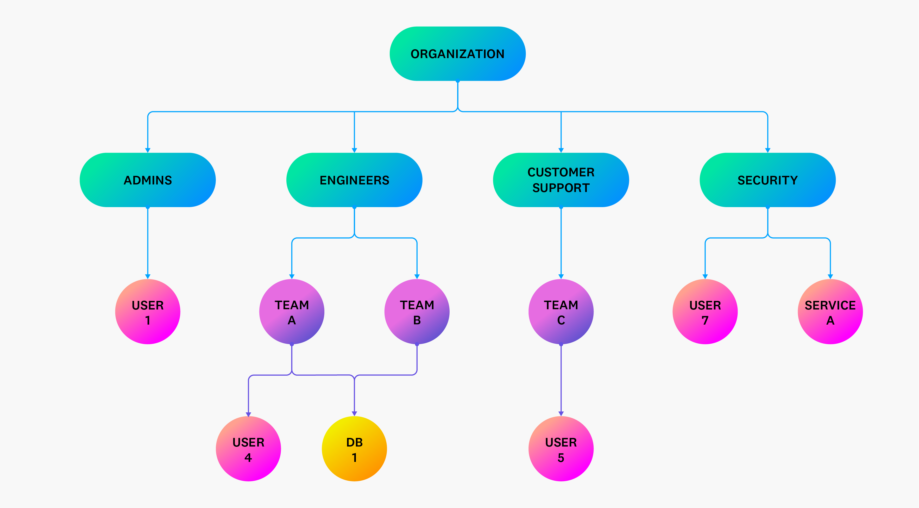 Diagram illustrating an organization's hierarchy