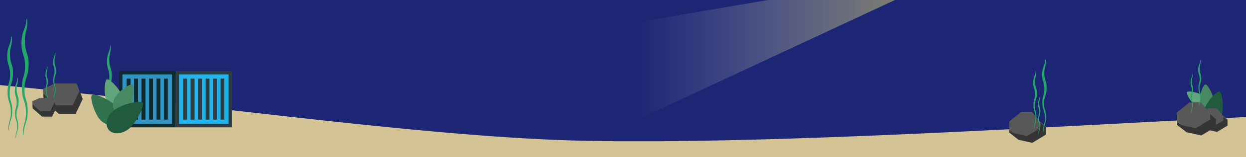 Dicjer performance visual break