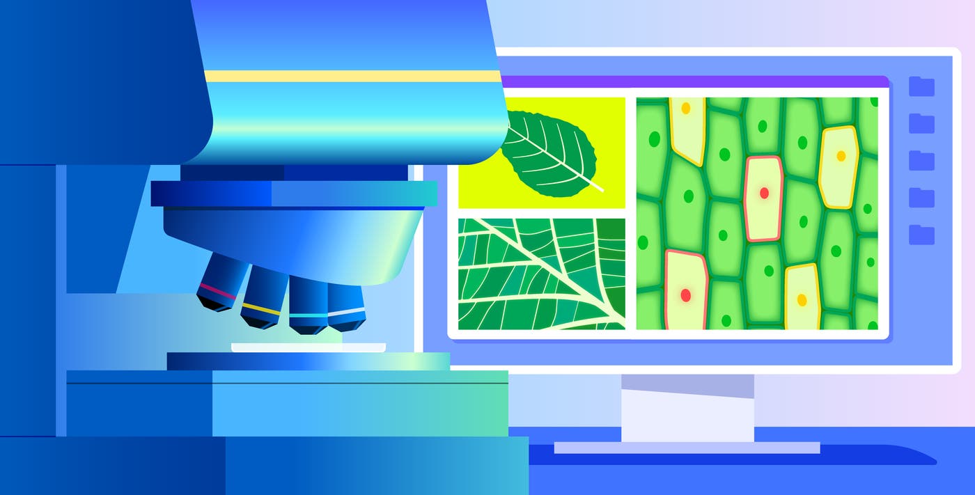 Get granular LLM observability by instrumenting your LLM chains Get granular LLM observability by instrumenting your LLM chains