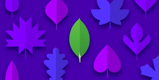 Monitor MongoDB Atlas with Datadog Monitor MongoDB Atlas with Datadog