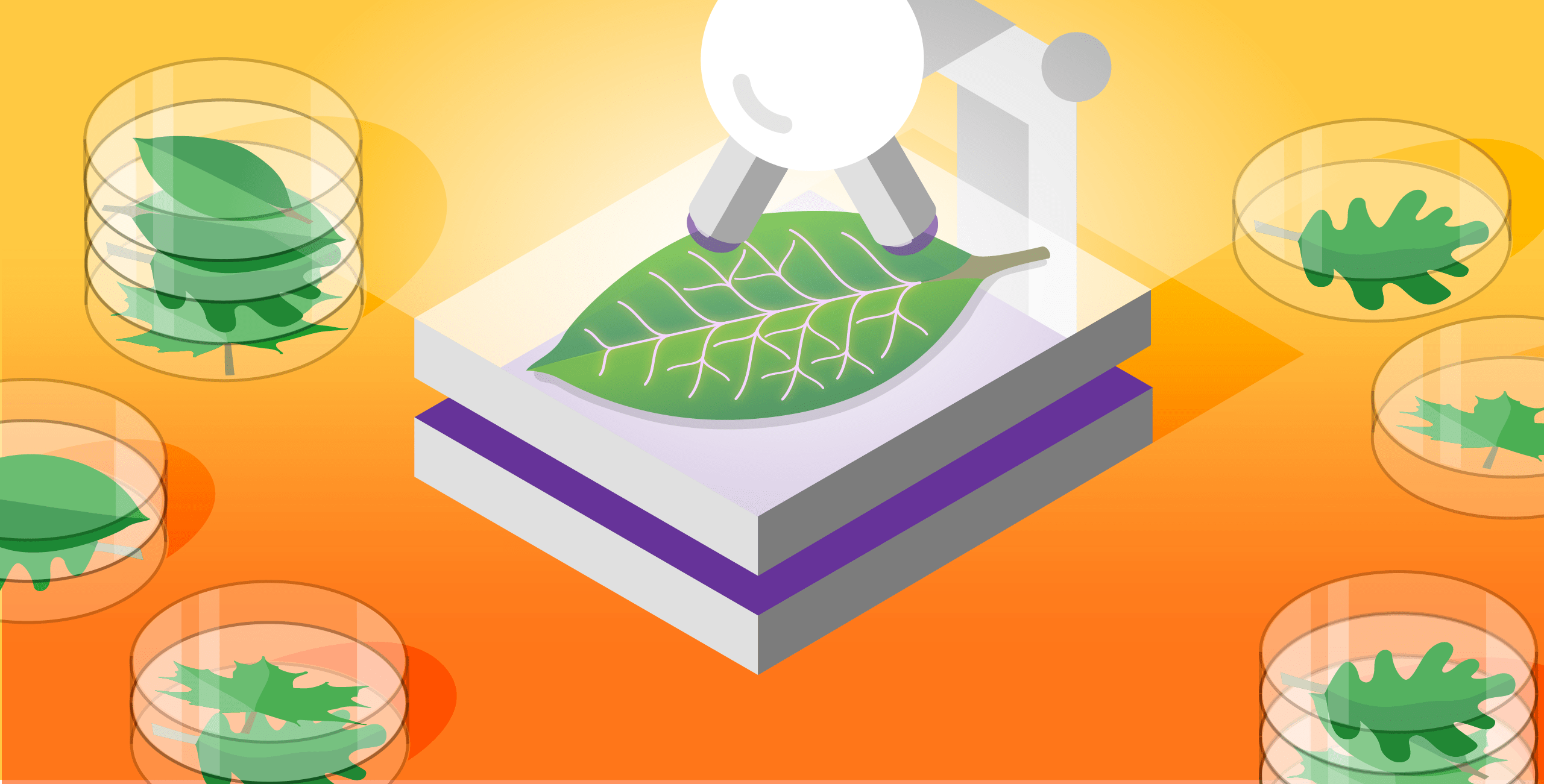 How to monitor MongoDB performance with Datadog