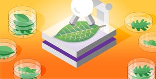 How to monitor MongoDB performance with Datadog How to monitor MongoDB performance with Datadog