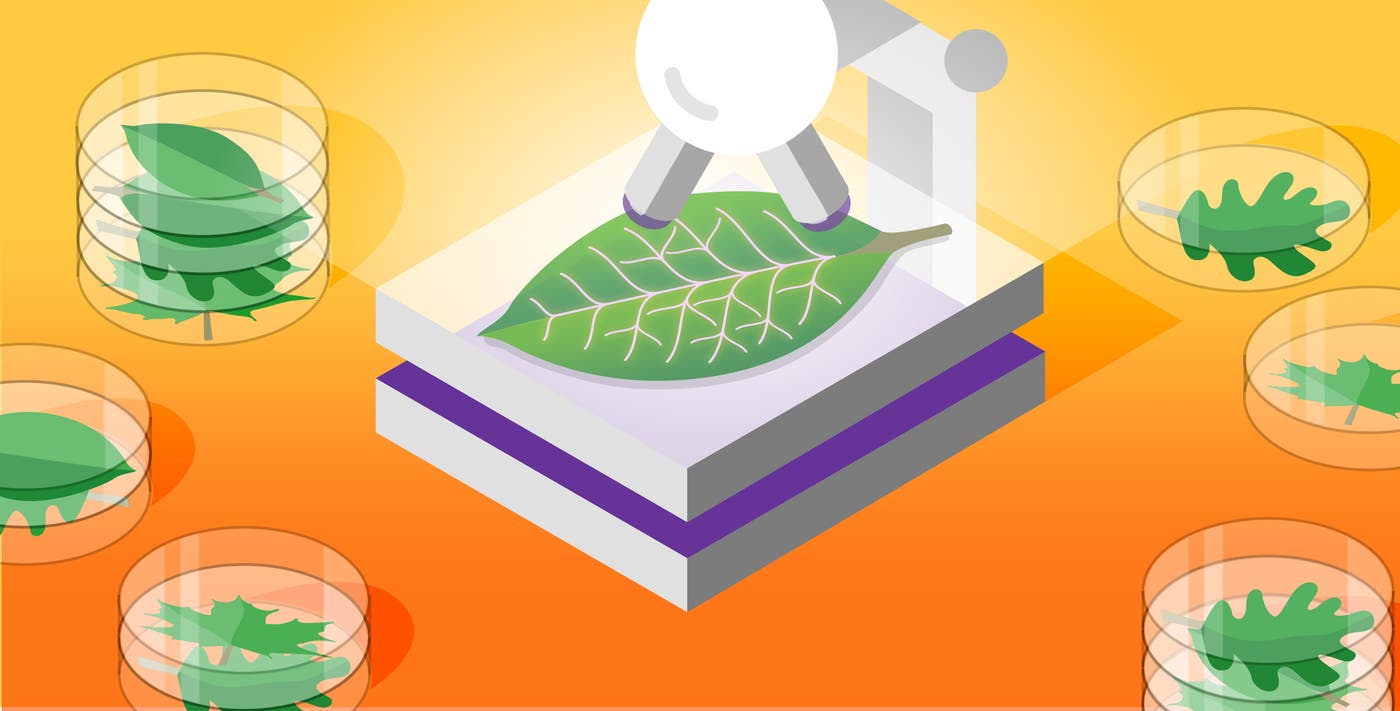 How to monitor MongoDB performance with Datadog How to monitor MongoDB performance with Datadog