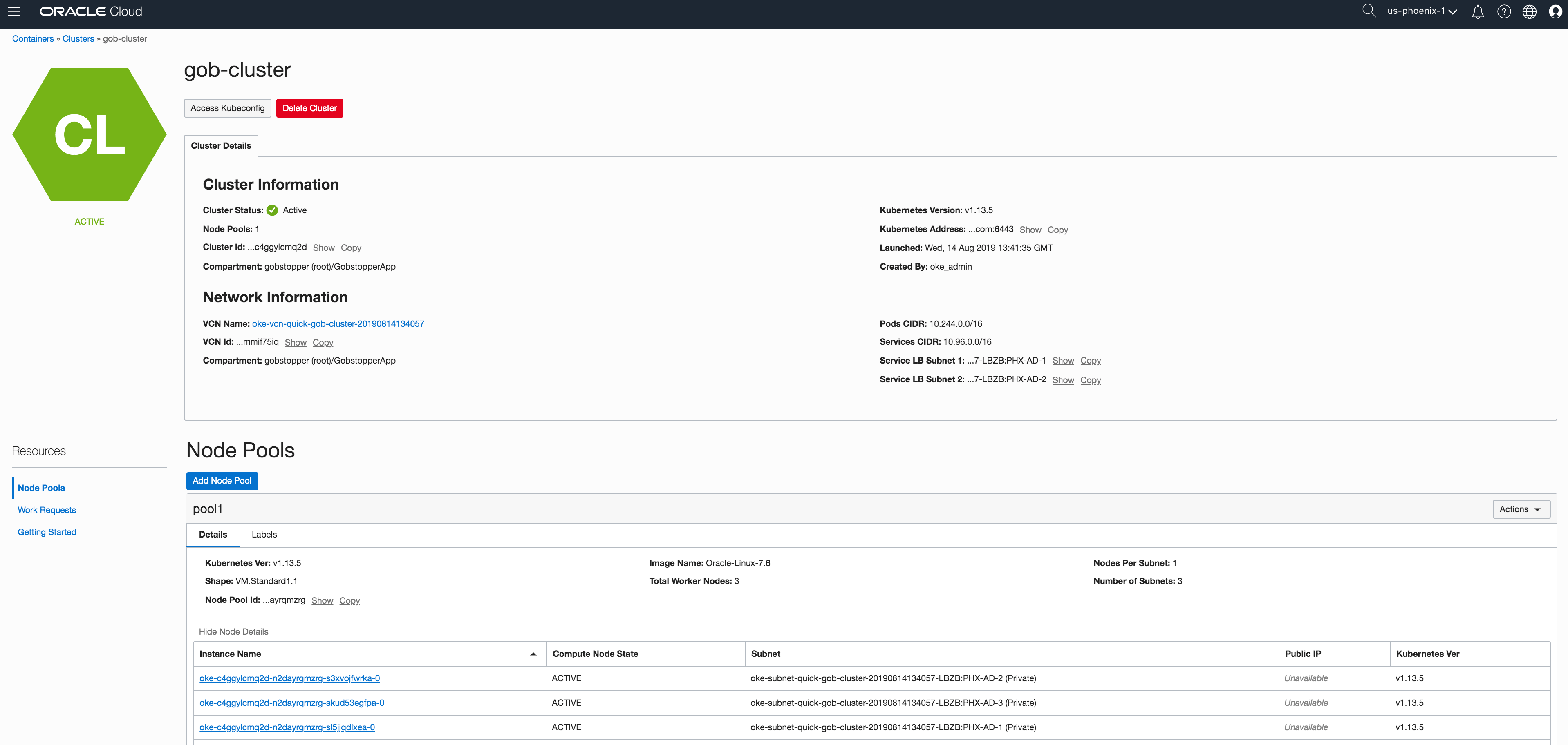 view of a cluster created with the oracle kubernetes engine