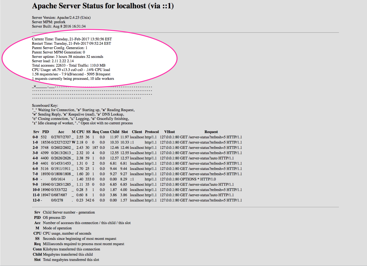 Apache monitoring - mod status page with metrics highlighted