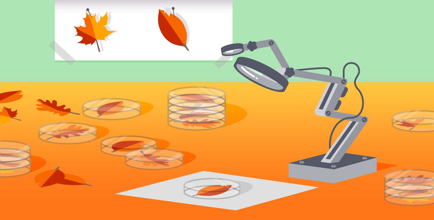 Monitoring MongoDB performance metrics (MMAP) Monitoring MongoDB performance metrics (MMAP)