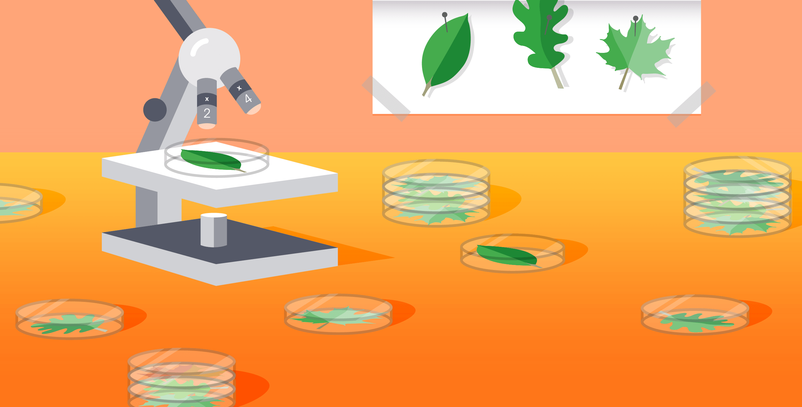 Monitoring MongoDB performance metrics (WiredTiger)