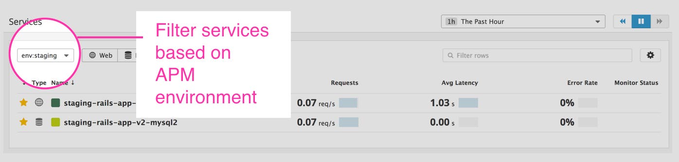 APM Services APM Services