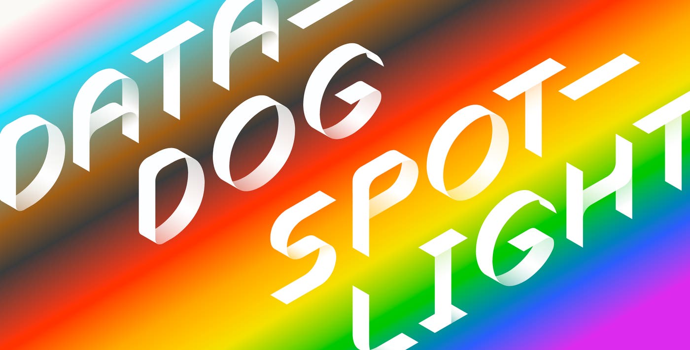 Datadog Spotlight: Sean Schaab Datadog Spotlight: Sean Schaab