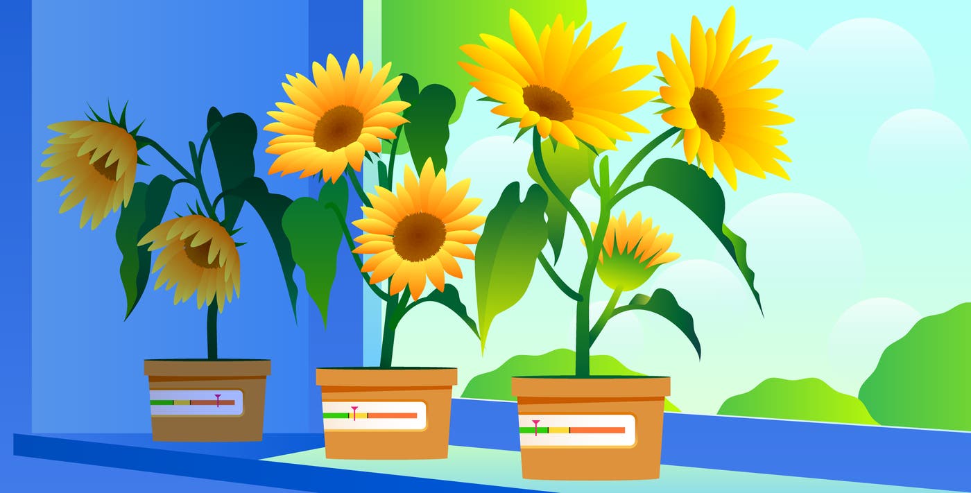 Monitoring single-page app interactivity with Core Web Vitals and Datadog Monitoring single-page app interactivity with Core Web Vitals and Datadog