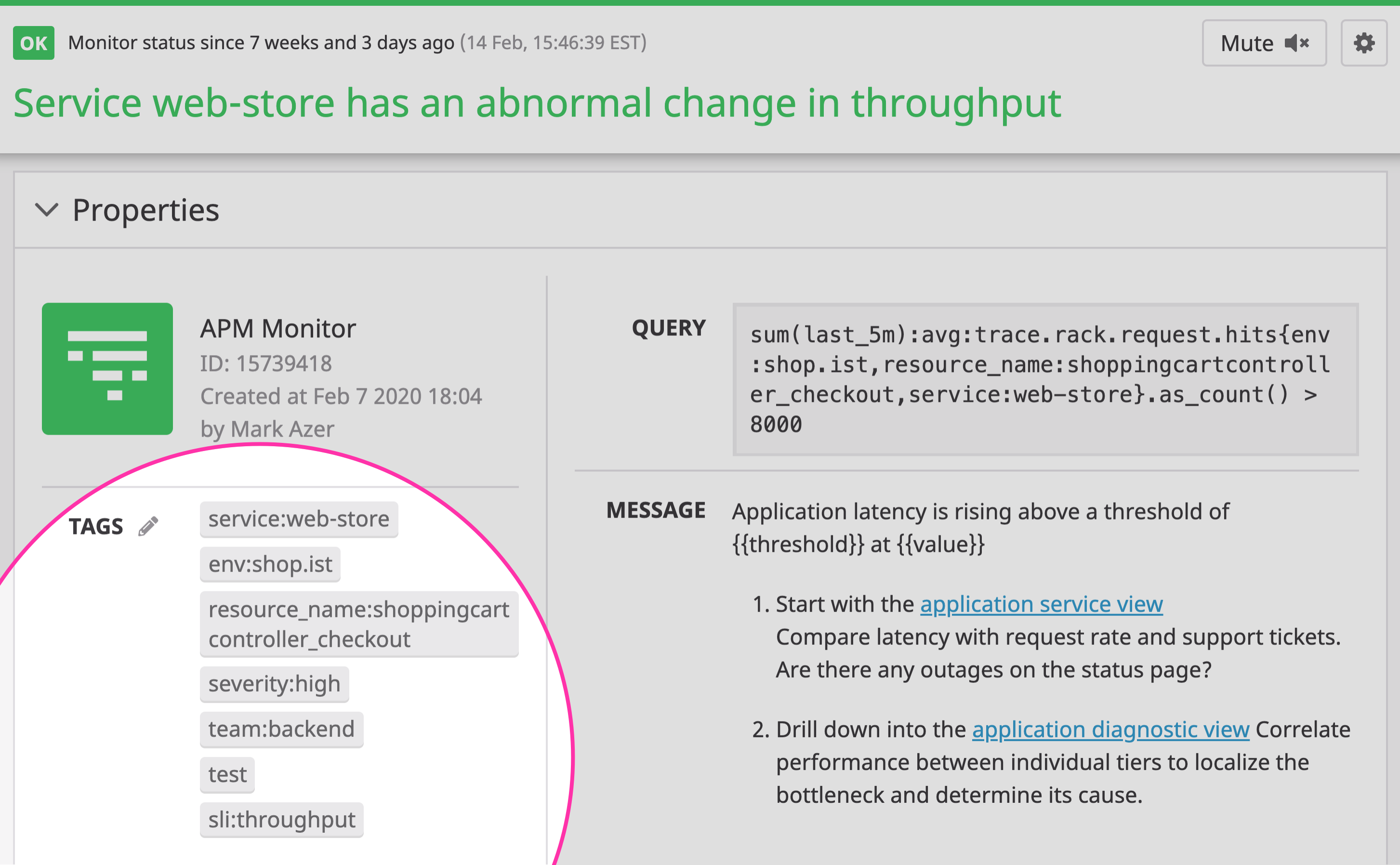 tagging your monitors in datadog.