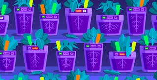 Best practices for tagging your monitors Best practices for tagging your monitors