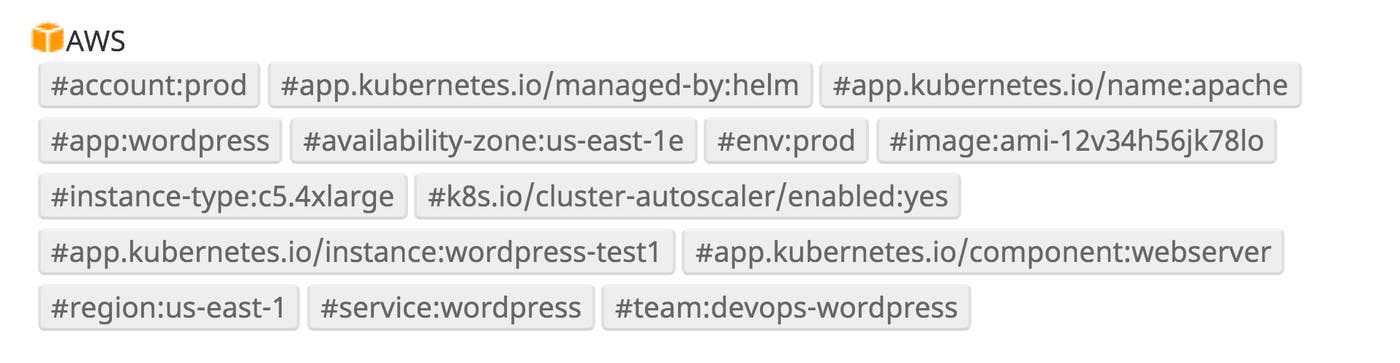 AWS tags ingested by Datadog AWS tags ingested by Datadog