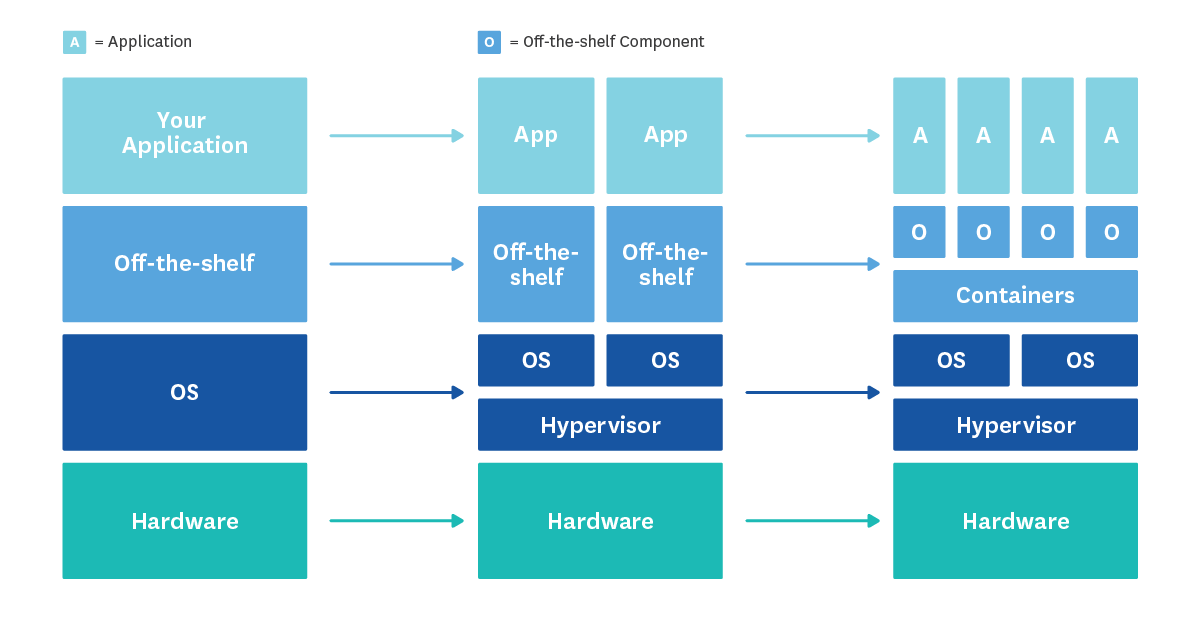 Host proliferation over time