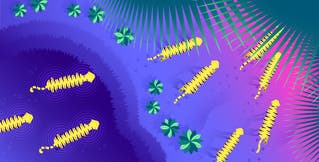 Key metrics for monitoring Tomcat Key metrics for monitoring Tomcat