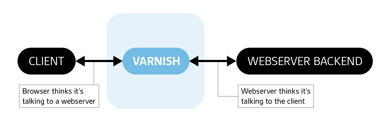 Varnish client backend