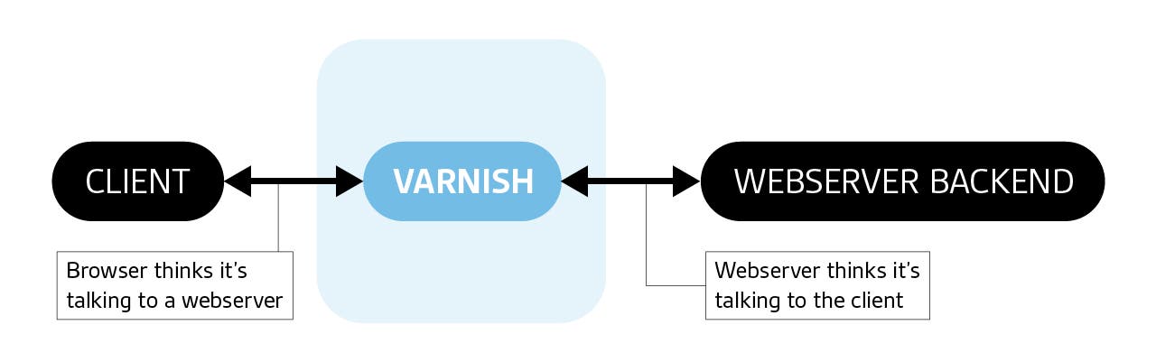 Varnish client backend Varnish client backend