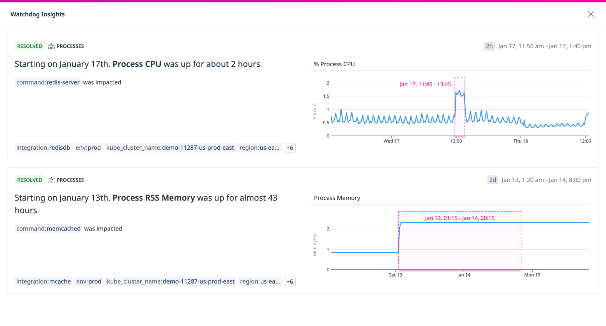 Watchdog Insights on process performance