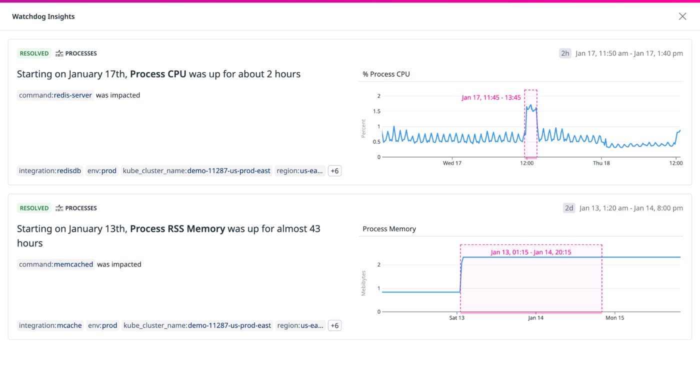 Watchdog Insights on process performance Watchdog Insights on process performance
