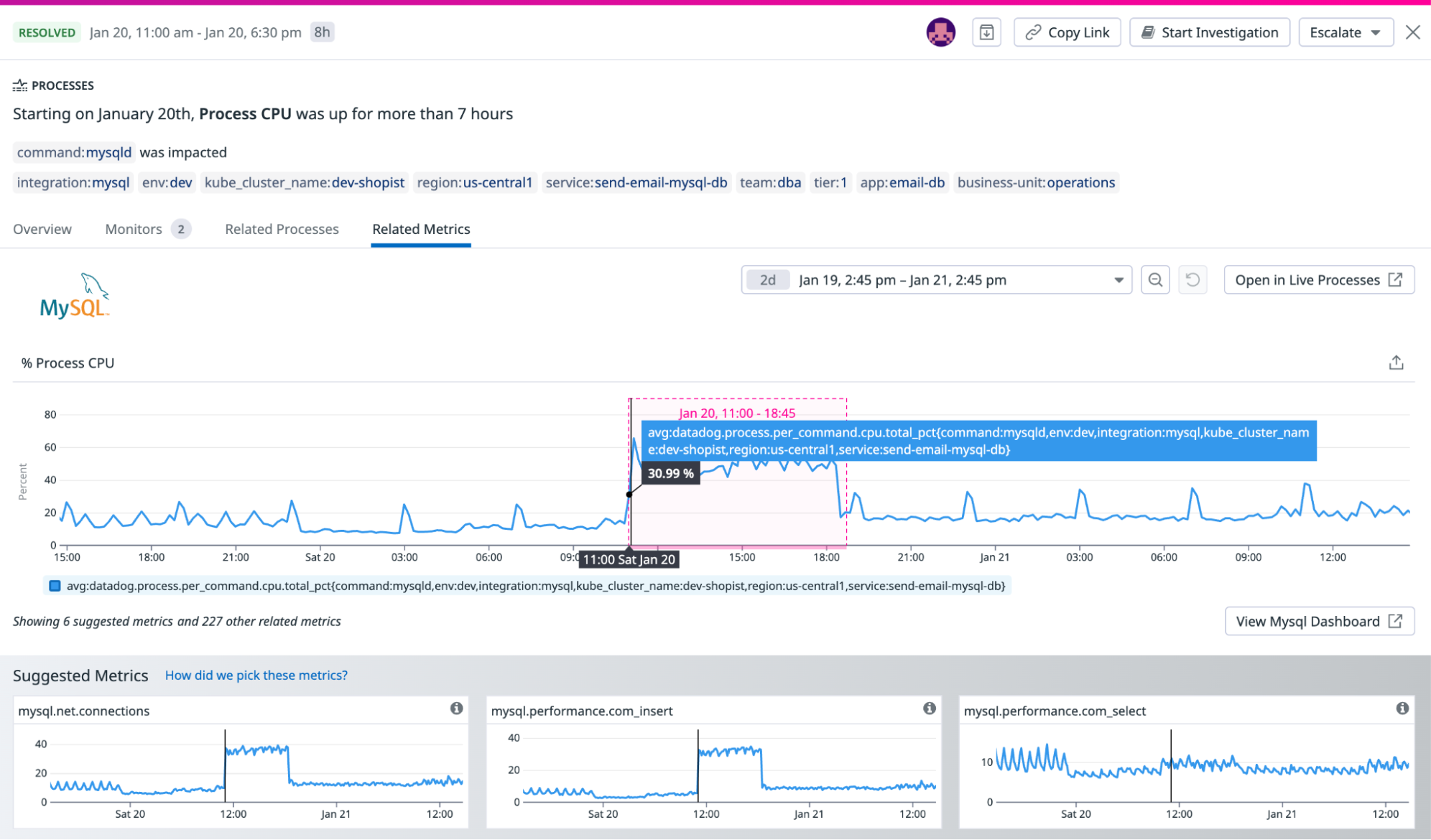 Related Metrics tab within a Watchdog story