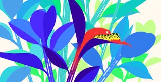 Best practices for creating custom detection rules with Datadog Cloud SIEM Best practices for creating custom detection rules with Datadog Cloud SIEM